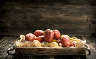 Fresh potatoes in an old tray. photo