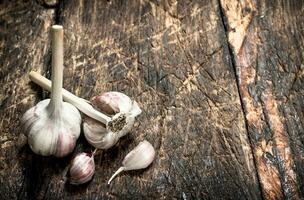 Fresh fragrant garlic. photo