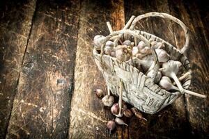 Fresh garlic in a basket. photo