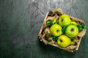 Green apples in an old box. photo