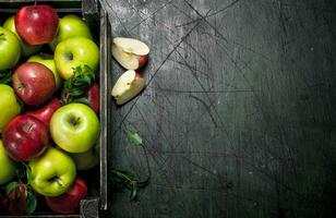 Fresh apples with leaves in a box. photo