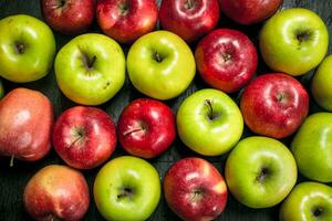 Red and green apples. photo