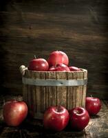 Red ripe apples in a wooden bucket. photo