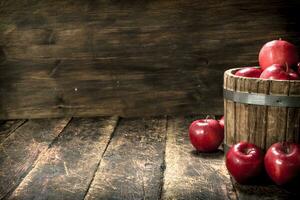 Red ripe apples in a wooden bucket. photo