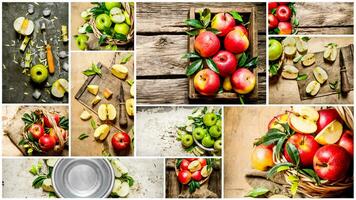 Food collage of fresh apple . photo