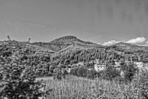 hermosa ver de el turco montañas cubierto con verde bosque en un verano día, foto