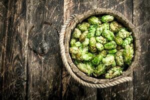 Green hops for beer in a wooden bucket. photo