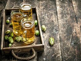 Fresh beer in glasses with green hops on an old tray. photo