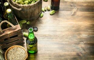 Beer background. Beer in bottles and ingredients . photo