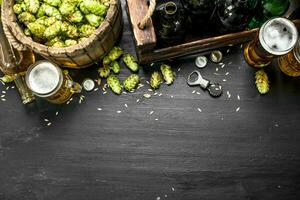 Beer background. Fresh beer and ingredients. photo