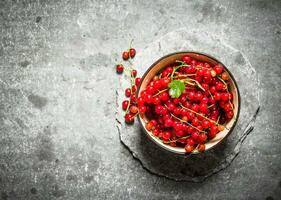 Red currant in the Cup. On stone table. photo