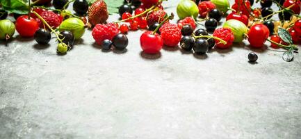 wild berries on the stone table. photo