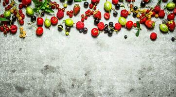 wild berries on the stone table. photo
