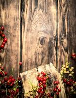 Forest berries on the Board. photo