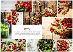 Food collage of berry . photo