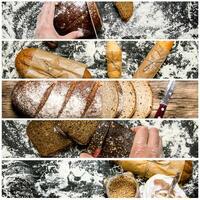 Food collage of bread . photo