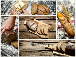 Food collage of bread . photo