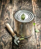 Food in tin can with opener. photo