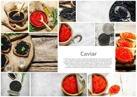 comida collage de rojo y negro caviar. foto