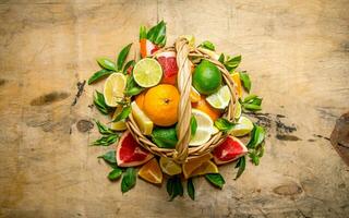 A basket full of citrus fruits - grapefruit, orange, tangerine, lemon, lime  and leaves. photo