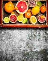 Citrus background. Citrus fruits in the old tray. photo