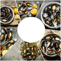 Food collage of clam . photo