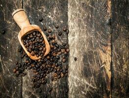 Grains of coffee in a scoop. photo