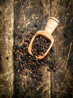 Grains of coffee in a scoop. photo