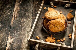 Oatmeal cookies with nuts. photo