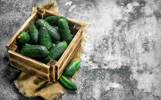 Fresh cucumbers in an old box. photo