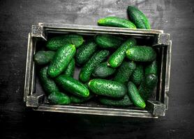 Fresh cucumbers in an old box. photo