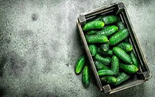 Fresh cucumbers in an old box. photo