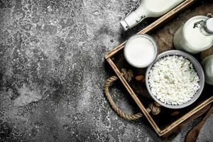 Fresh cottage cheese in a bowl. photo