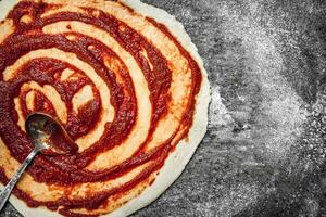 Preparation of pizza. Application of tomato sauce on the rolled dough. photo