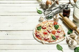 Preparation of pizza with various ingredients. photo