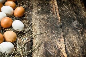 Chicken eggs on the straw. photo