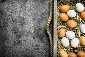 Fresh chicken eggs on an old tray. photo