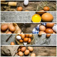 Food collage of chicken eggs . photo