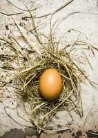 pollo huevos con heno. en rústico antecedentes. foto