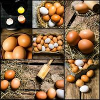 Food collage of chicken eggs . photo