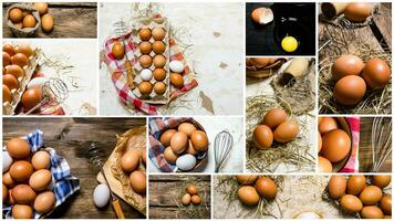 Food collage of chicken eggs . photo