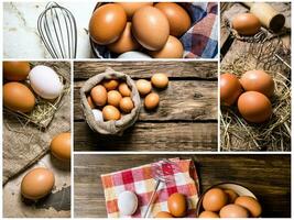 Food collage of chicken eggs . photo