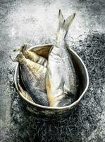 Fresh fish in a bucket with a fishing net. photo