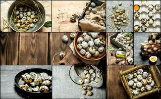 Food collage of quail eggs . photo