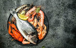 Fresh seafood, dorado and shrimp. photo