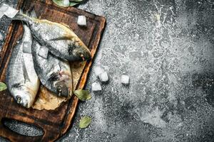 Fresh unprepared dorado fish on a cutting board. photo