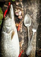 Fresh pike with spices and white wine. photo