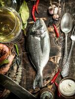 Fresh unprepared Dorado fish with wine, herbs and spices. photo