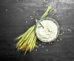 Flour with spikelets and wheat. photo