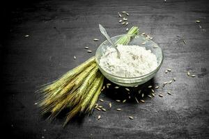 Flour with spikelets and wheat. photo